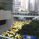 The yellow umbrellas carried by demonstrators seen from above.